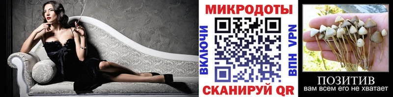 Псилоцибиновые грибы Cubensis  Черемхово 